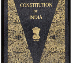We and our constitution